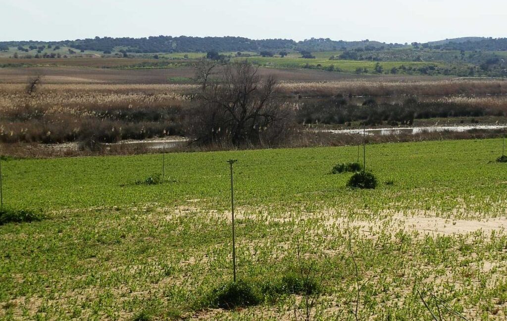 631_fincas-en-venta-186