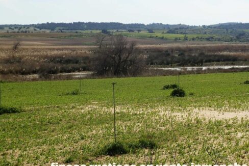 631_fincas-en-venta-186