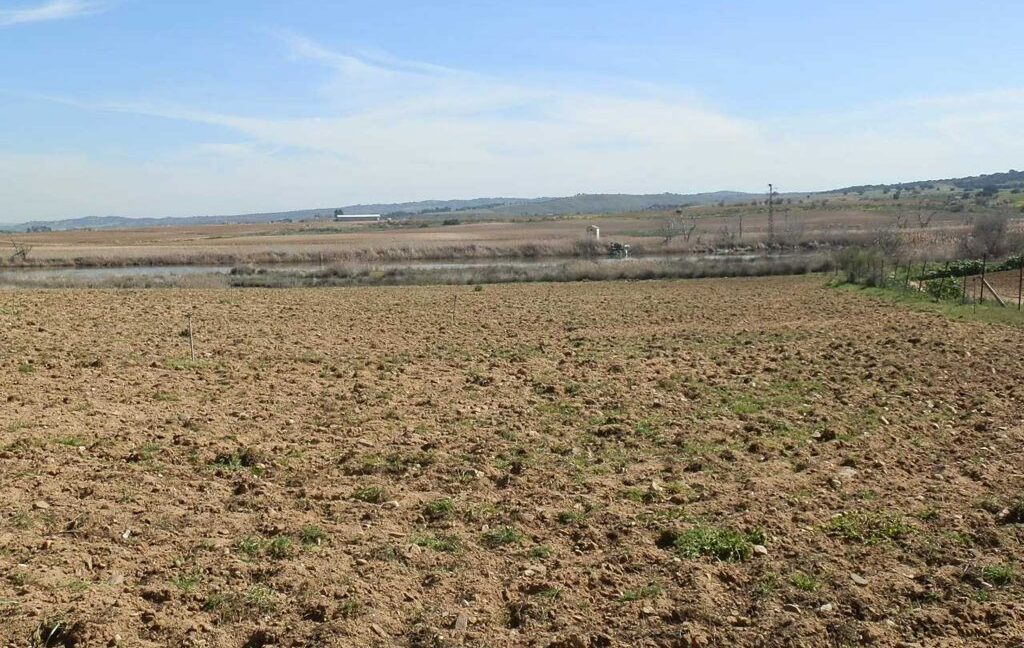 631_fincas-en-venta-187