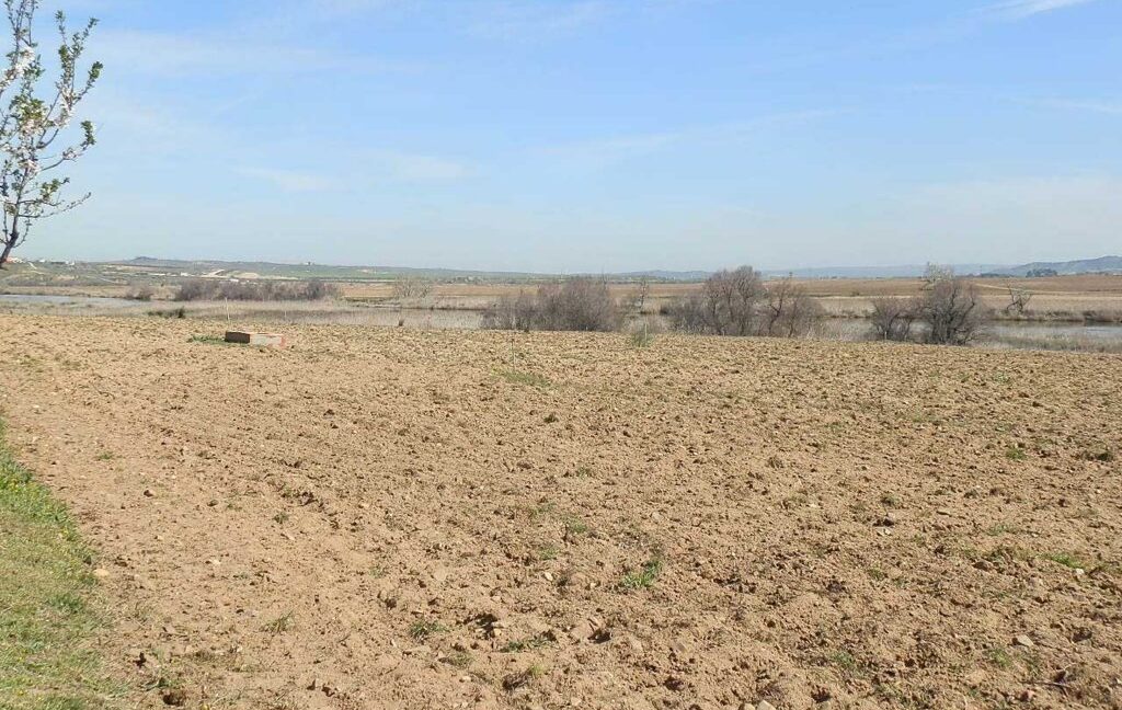 631_fincas-en-venta-188