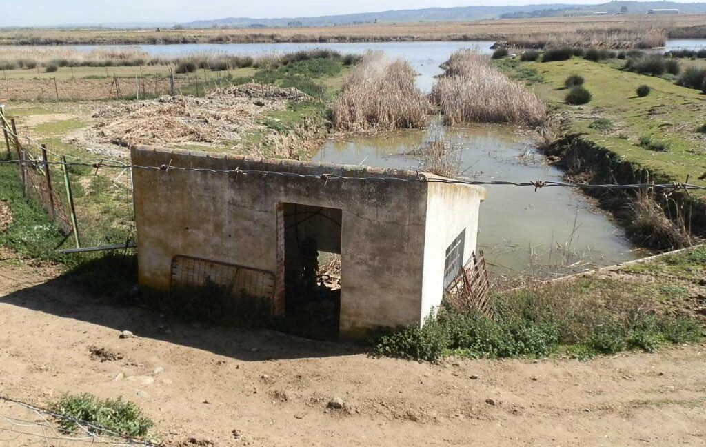 631_fincas-en-venta-189