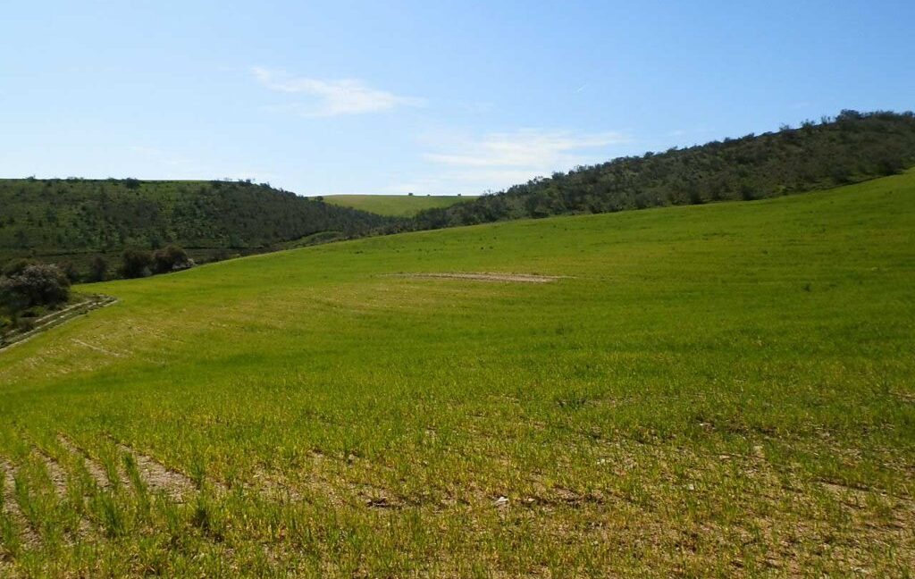 631_fincas-en-venta-191