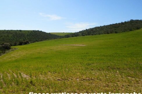 631_fincas-en-venta-191