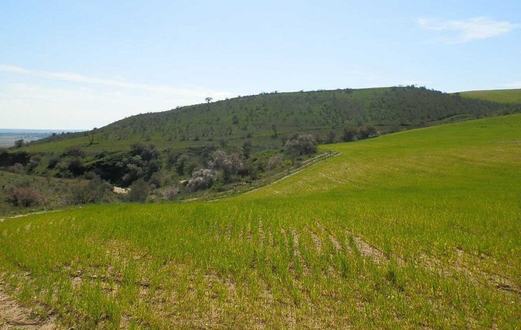 631_fincas-en-venta-192