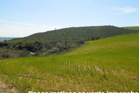 631_fincas-en-venta-192