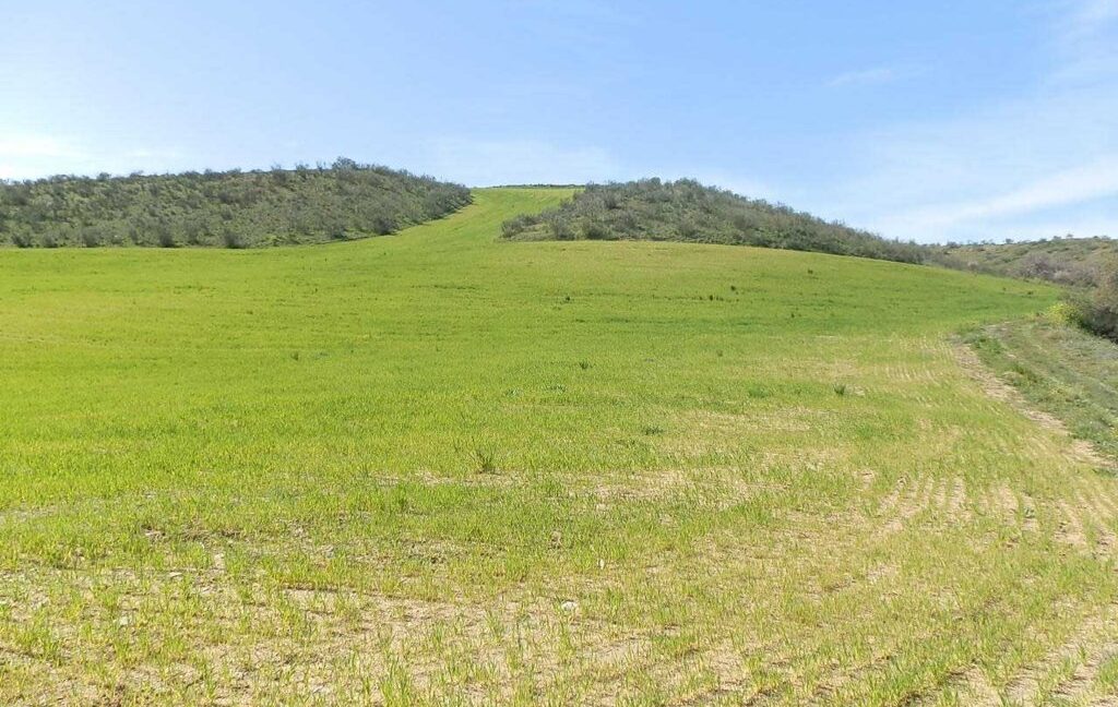 631_fincas-en-venta-193