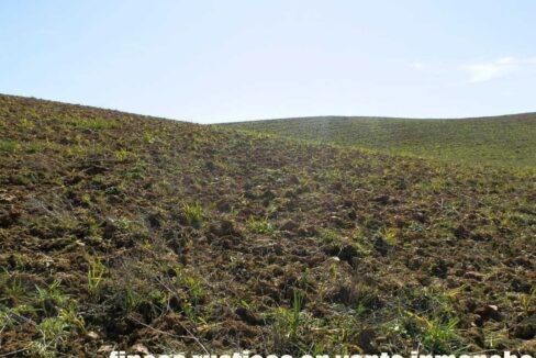 631_fincas-en-venta-195