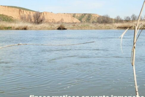 631_fincas-en-venta-205