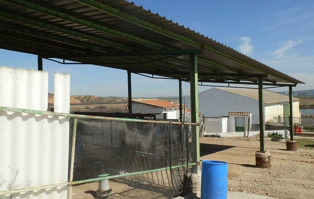 631_fincas-en-venta-214