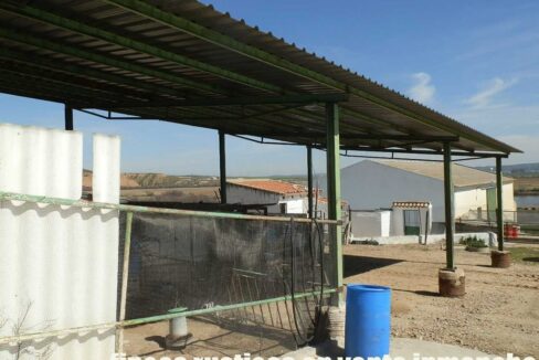 631_fincas-en-venta-214
