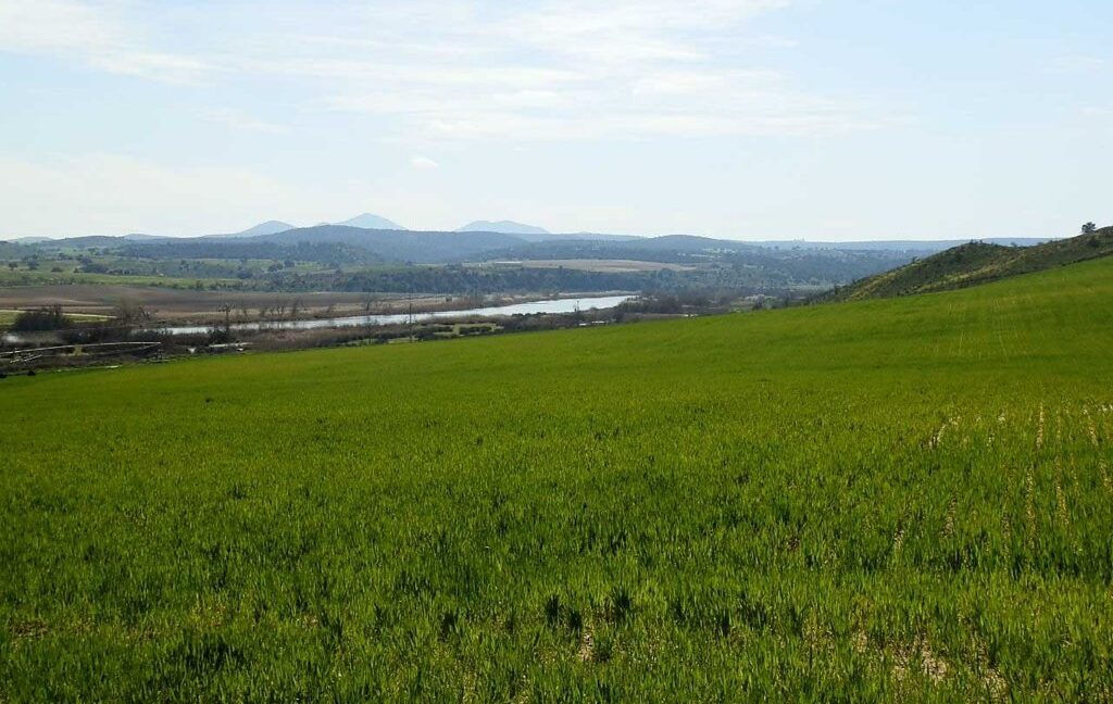 631_fincas-en-venta-220