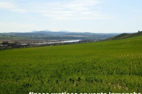 631_fincas-en-venta-220