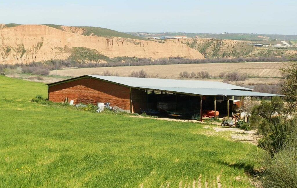 631_fincas-en-venta-222