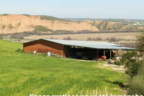 631_fincas-en-venta-222