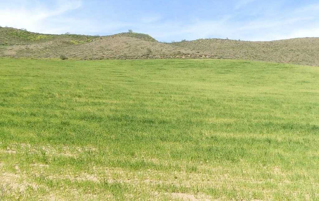 631_fincas-en-venta-223