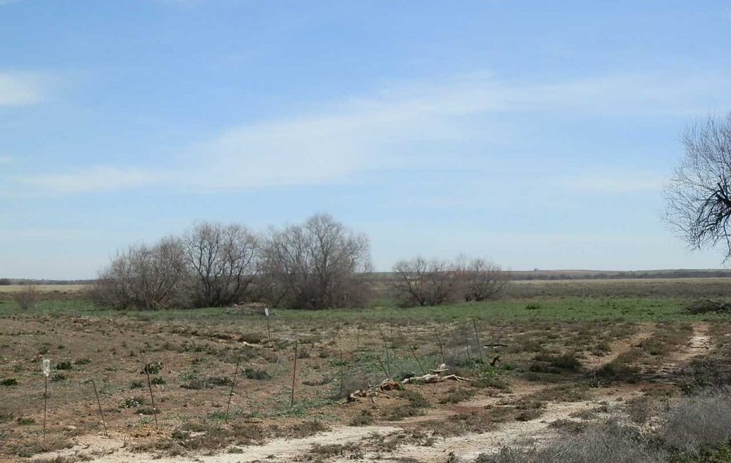 633_fincas-en-venta-043