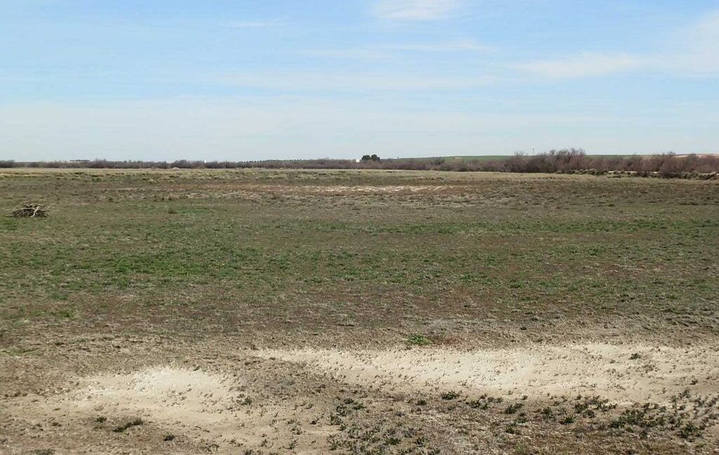 633_fincas-en-venta-046