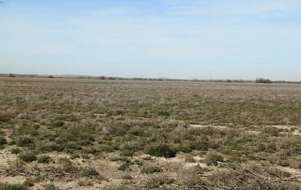 633_fincas-en-venta-048