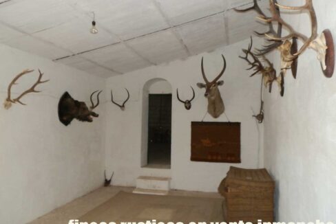 633_fincas-en-venta-074