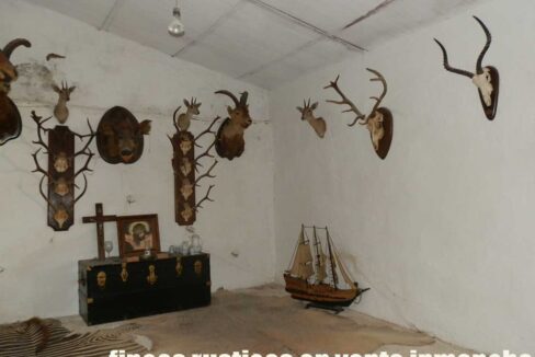 633_fincas-en-venta-076