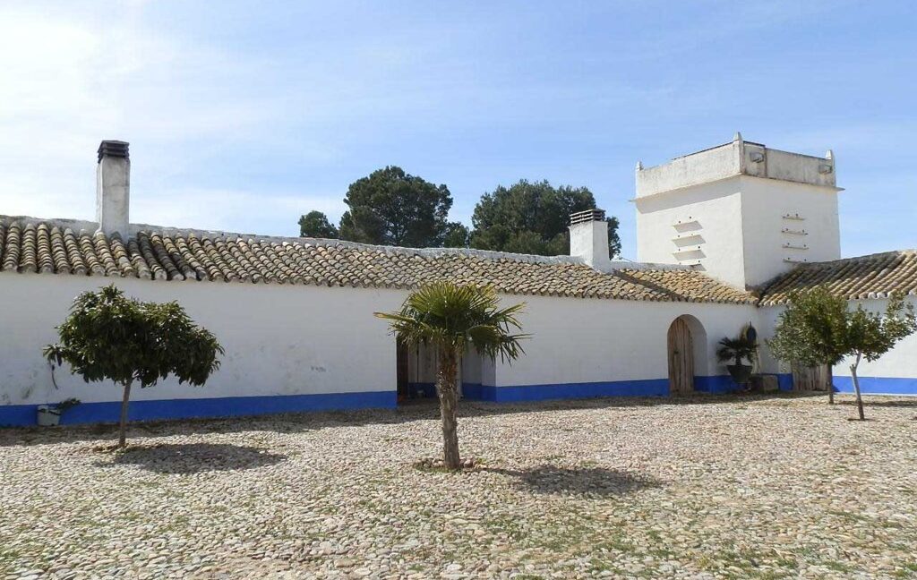 633_fincas-en-venta-077