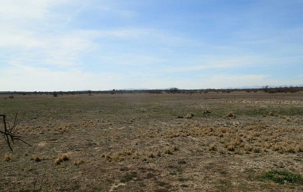 633_fincas-en-venta-082
