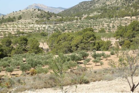 641_fincas-en-venta-119