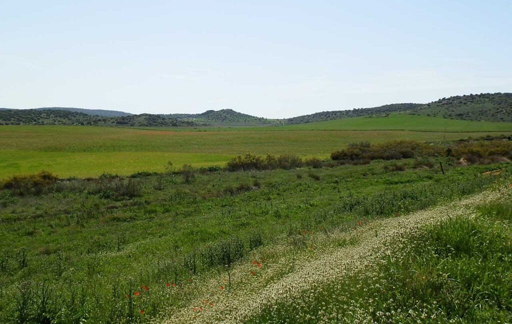 654_fincas-en-venta-31
