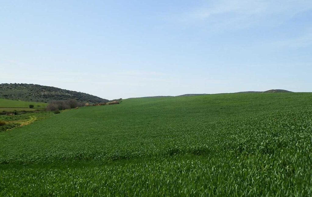 654_fincas-en-venta-33