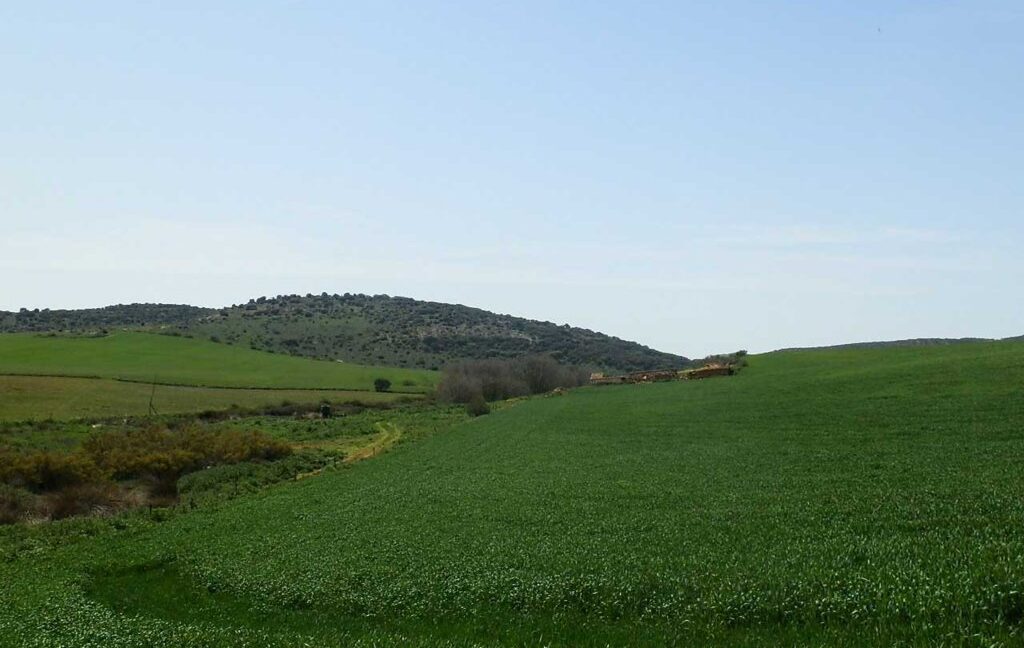 654_fincas-en-venta-34