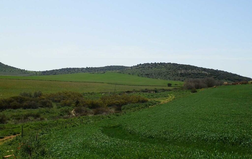 654_fincas-en-venta-35