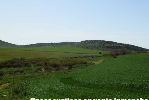 654_fincas-en-venta-35