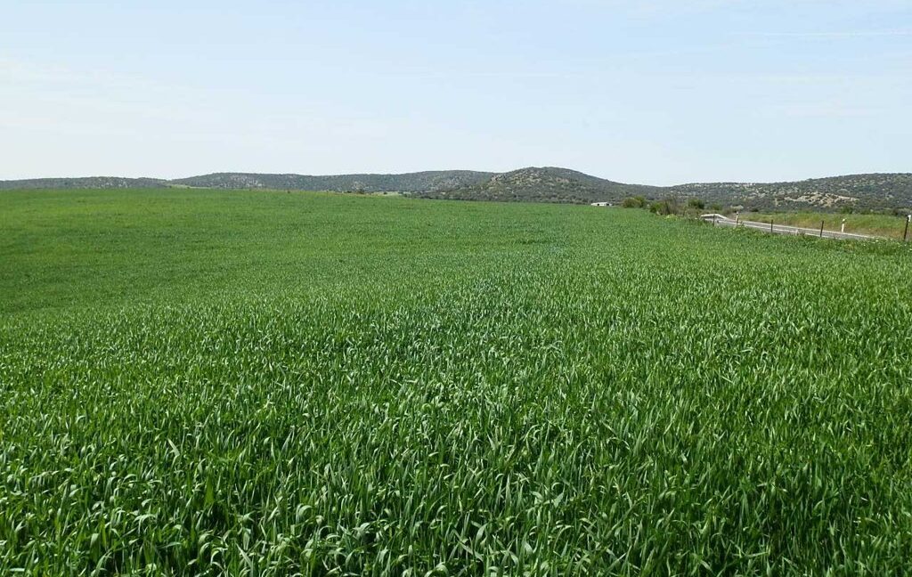 654_fincas-en-venta-36