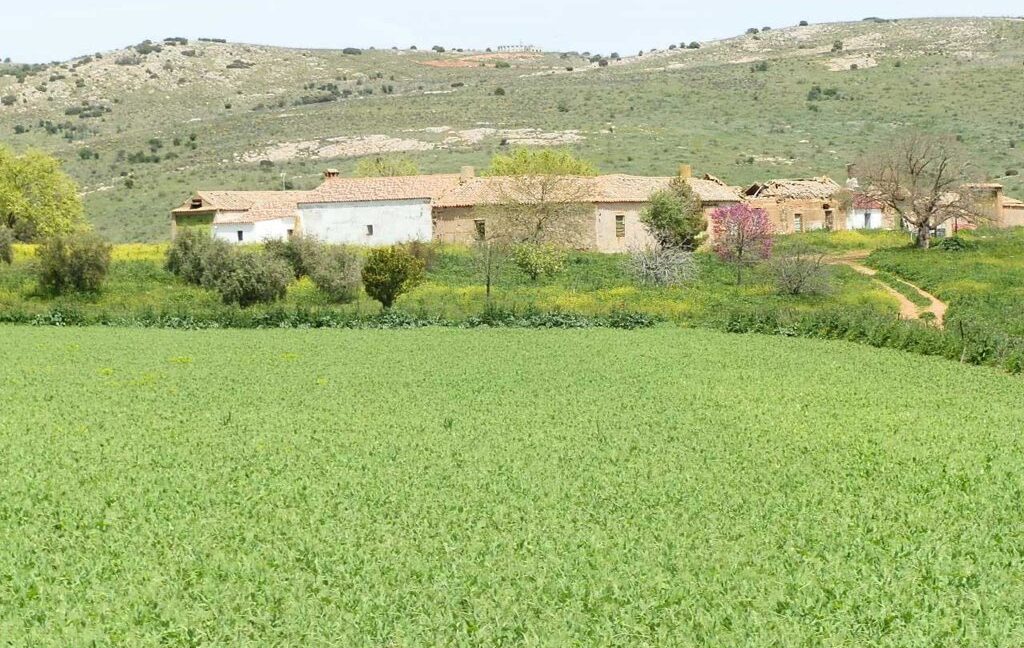 654_fincas-en-venta-39