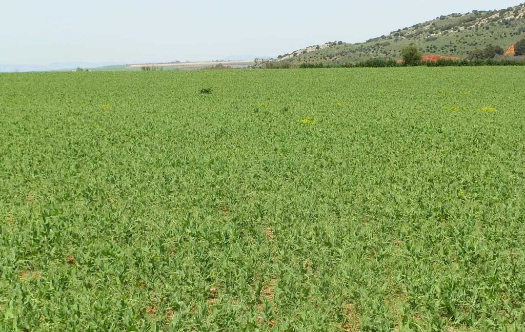 654_fincas-en-venta-40