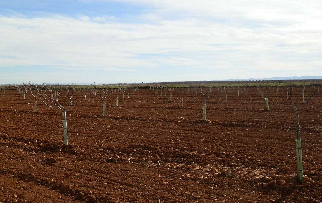 655_fincas-en-venta-018
