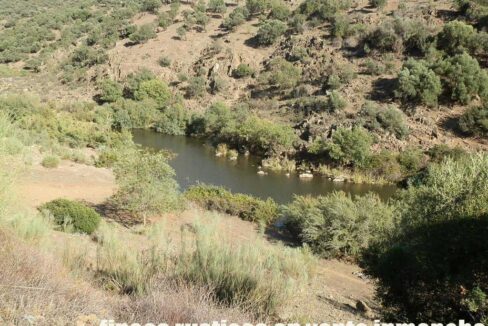 612_fincas-en-venta-53