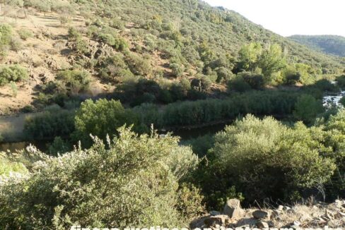 612_fincas-en-venta-54