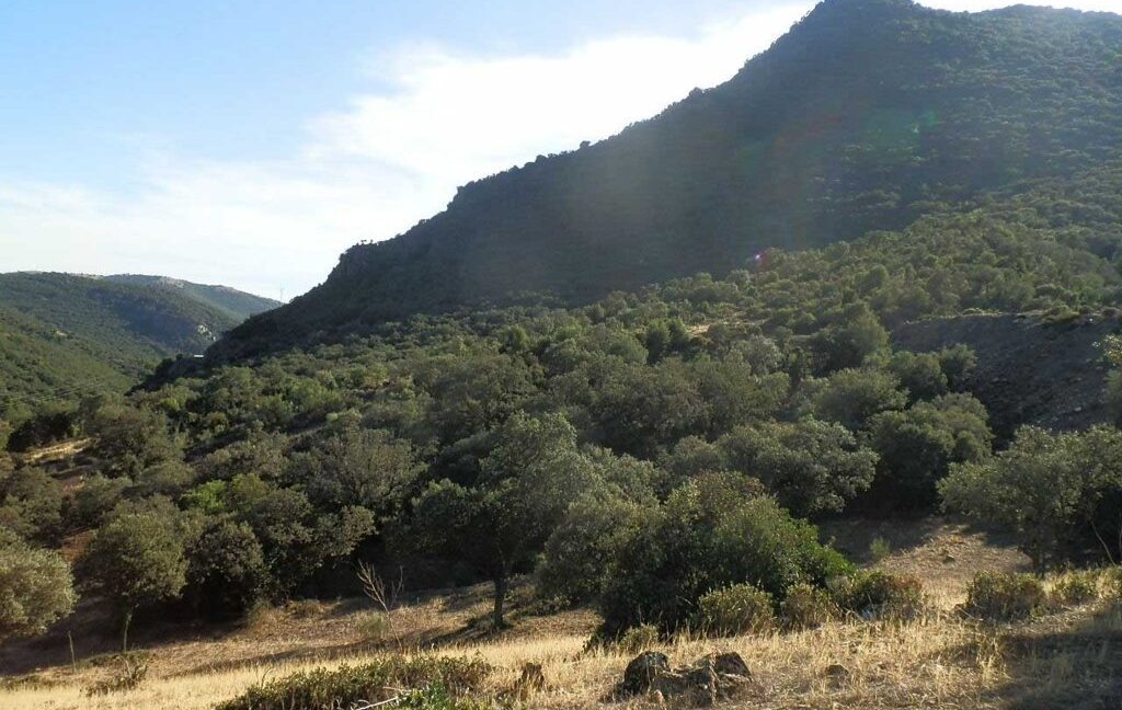 612_fincas-en-venta-56