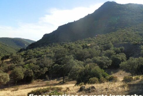 612_fincas-en-venta-56