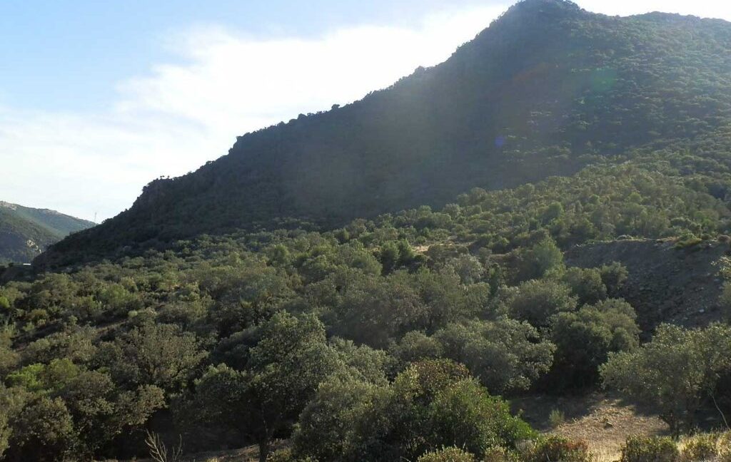 612_fincas-en-venta-57
