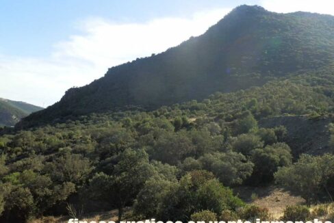 612_fincas-en-venta-57