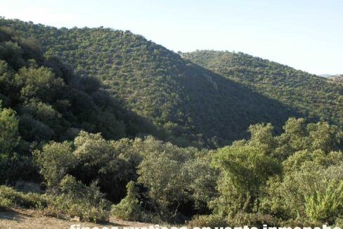612_fincas-en-venta-58