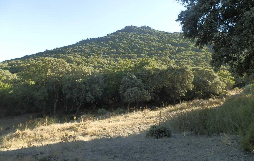 612_fincas-en-venta-60