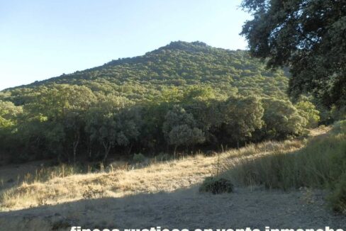 612_fincas-en-venta-60