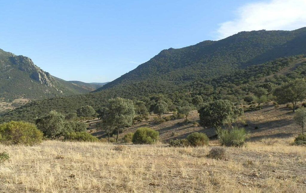 612_fincas-en-venta-63