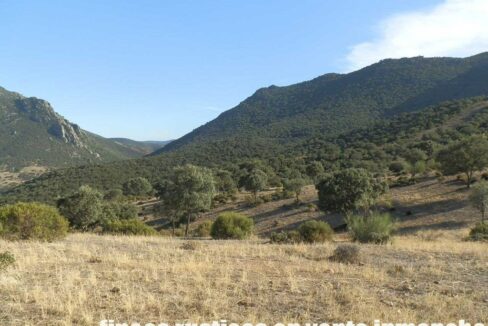 612_fincas-en-venta-63