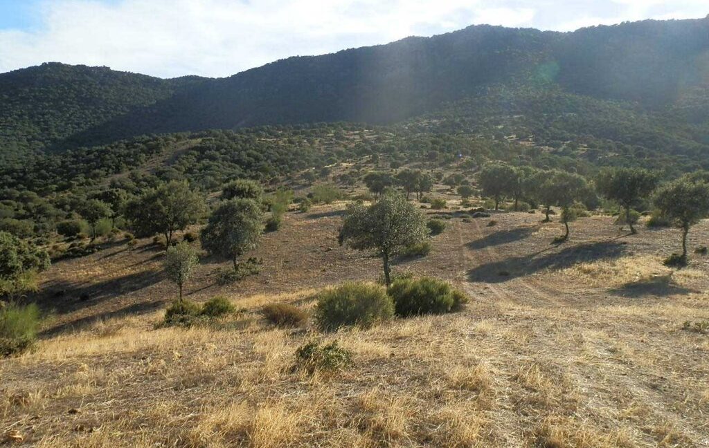 612_fincas-en-venta-64