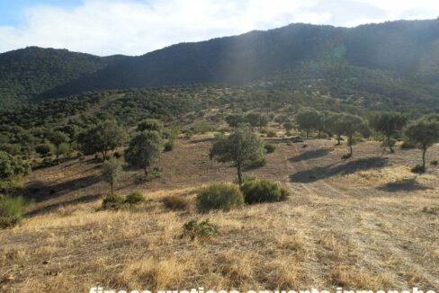 612_fincas-en-venta-64