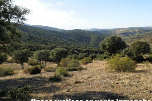 612_fincas-en-venta-65